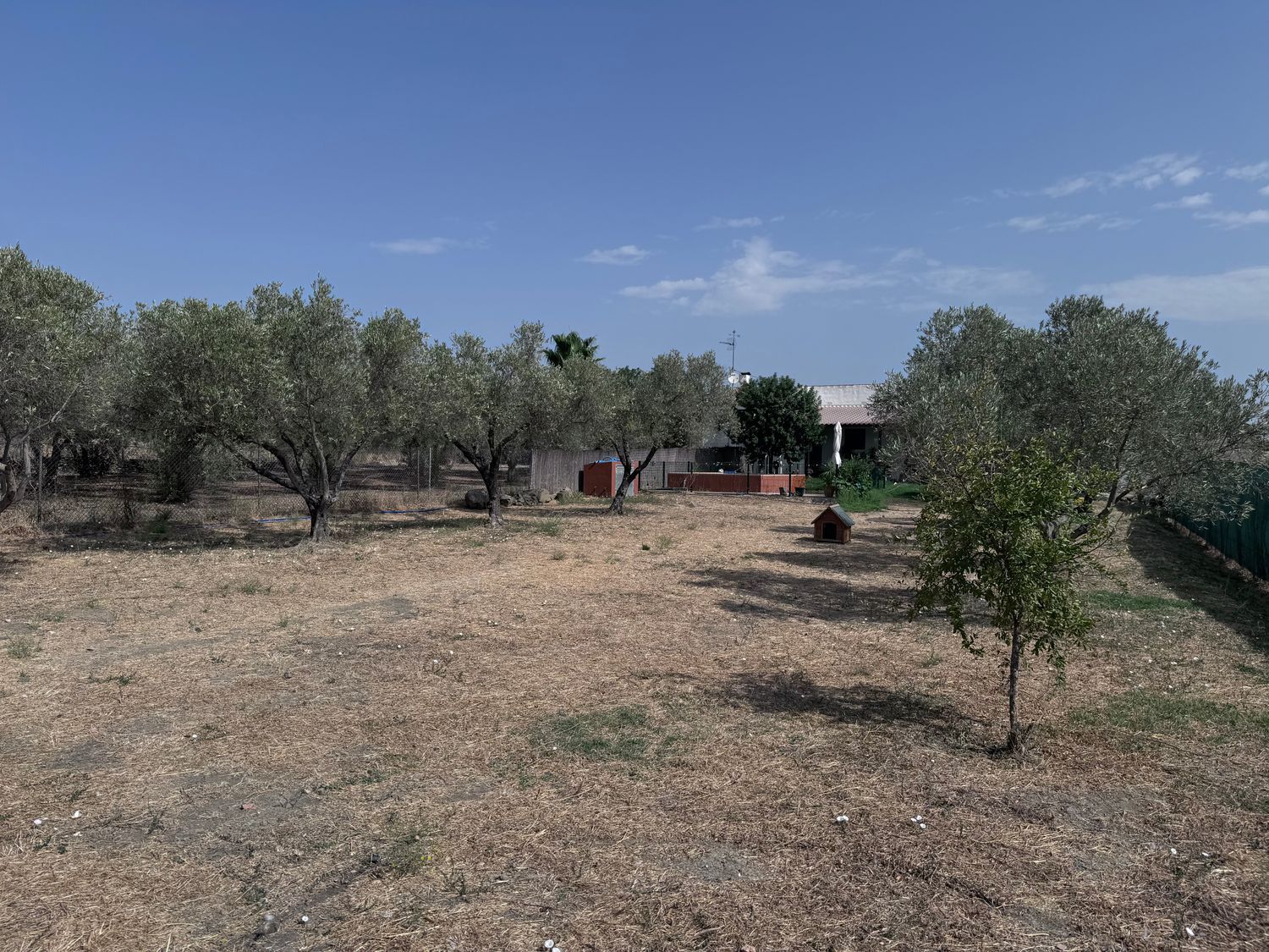 Finca rústica en El Pilar s/n - Foto 15