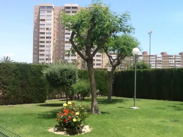 Piso en Avenida del Fabraquer, 7, Playa Muchavista - Foto 3