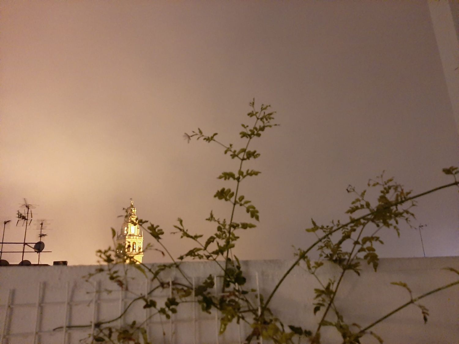 Ático en calle Blanco Belmonte, 15 - Foto 19