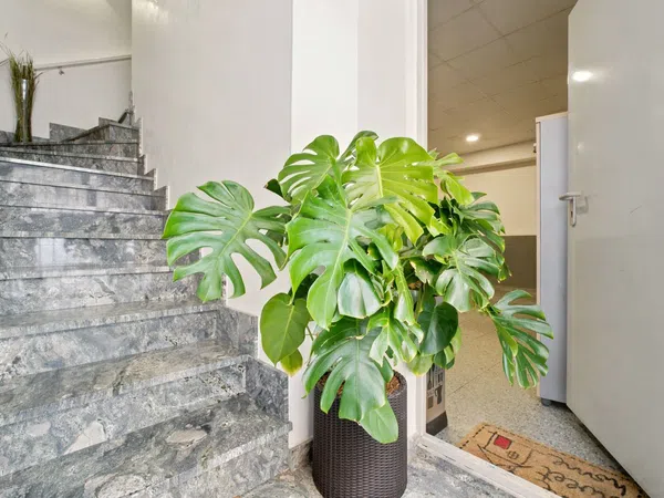 Casa o chalet independiente en Calle de Lorenzo Bosquet, 42, Valleaguado - La Cañada, Valleaguado - La Cañada - Foto 34