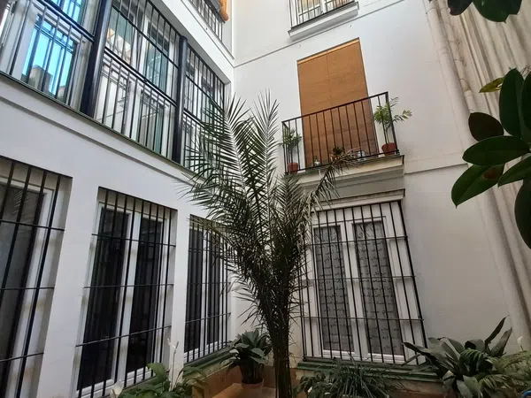 Piso en Calle Salinas, 21 - Foto 6