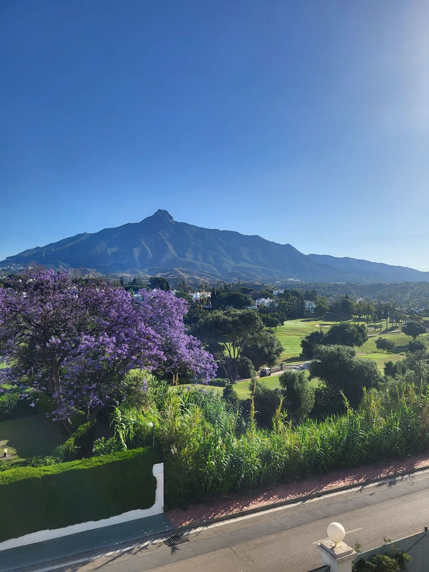 Ático en avenida Prado s/n - Foto 25