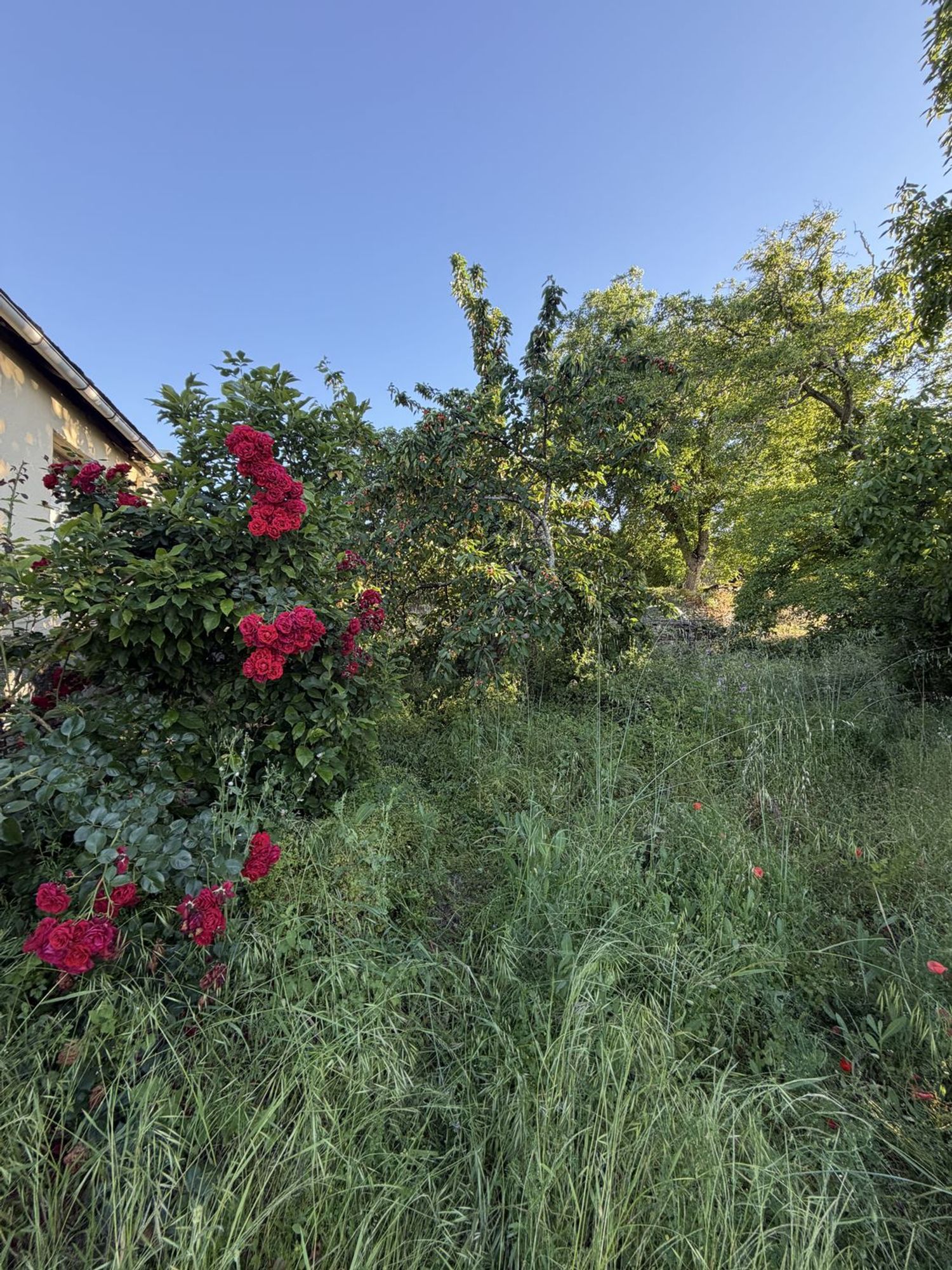 Casa rural en Bascois, 4 - Foto 23
