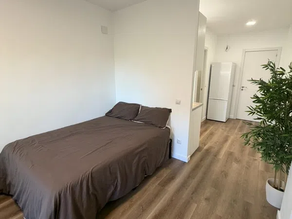 Estudio en Calle de Belzunegui, 9, Puerta Bonita - Foto 10