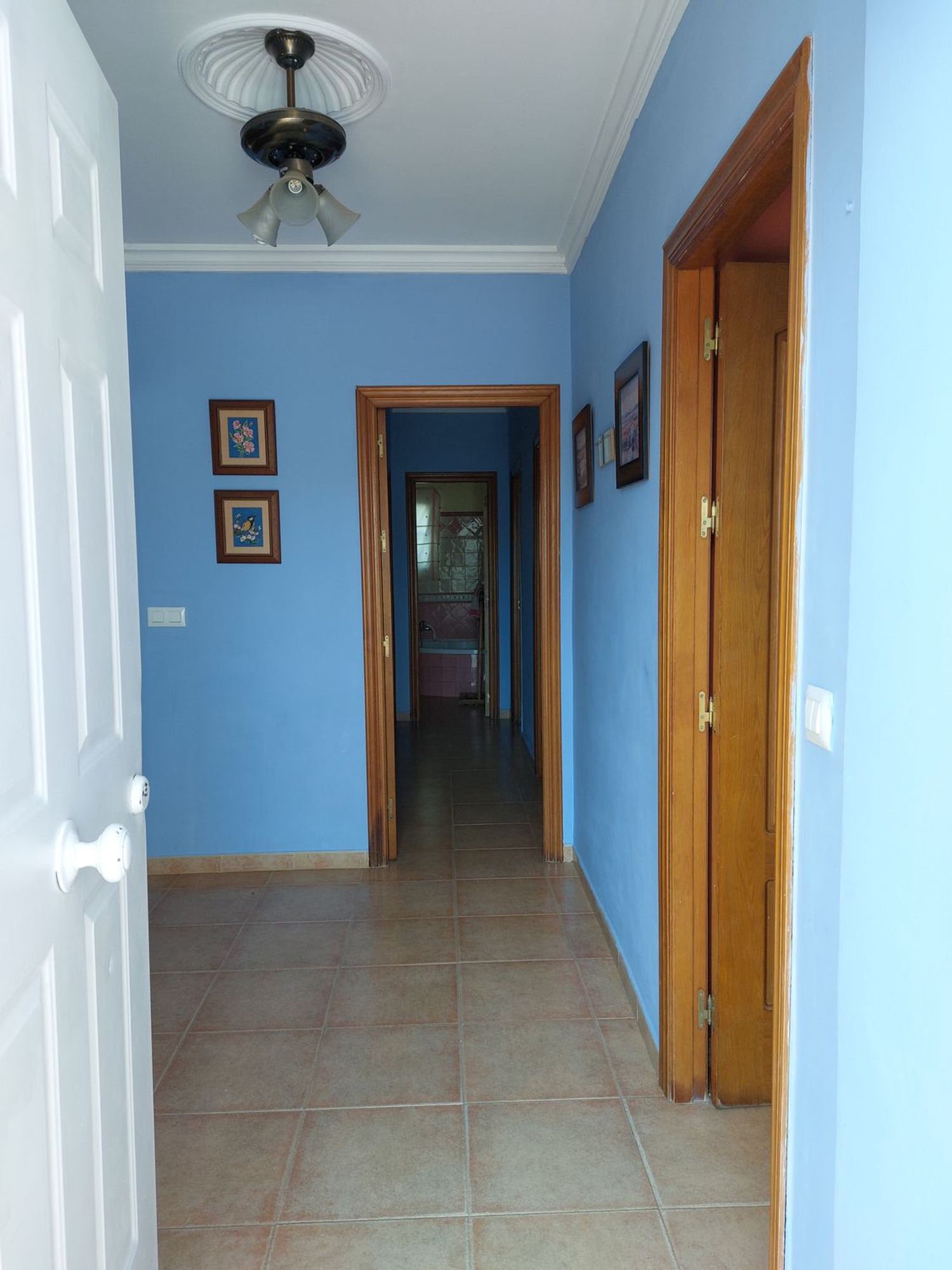 Casa o chalet independiente en Avenida Rosa de los Vientos, 5 - Foto 7