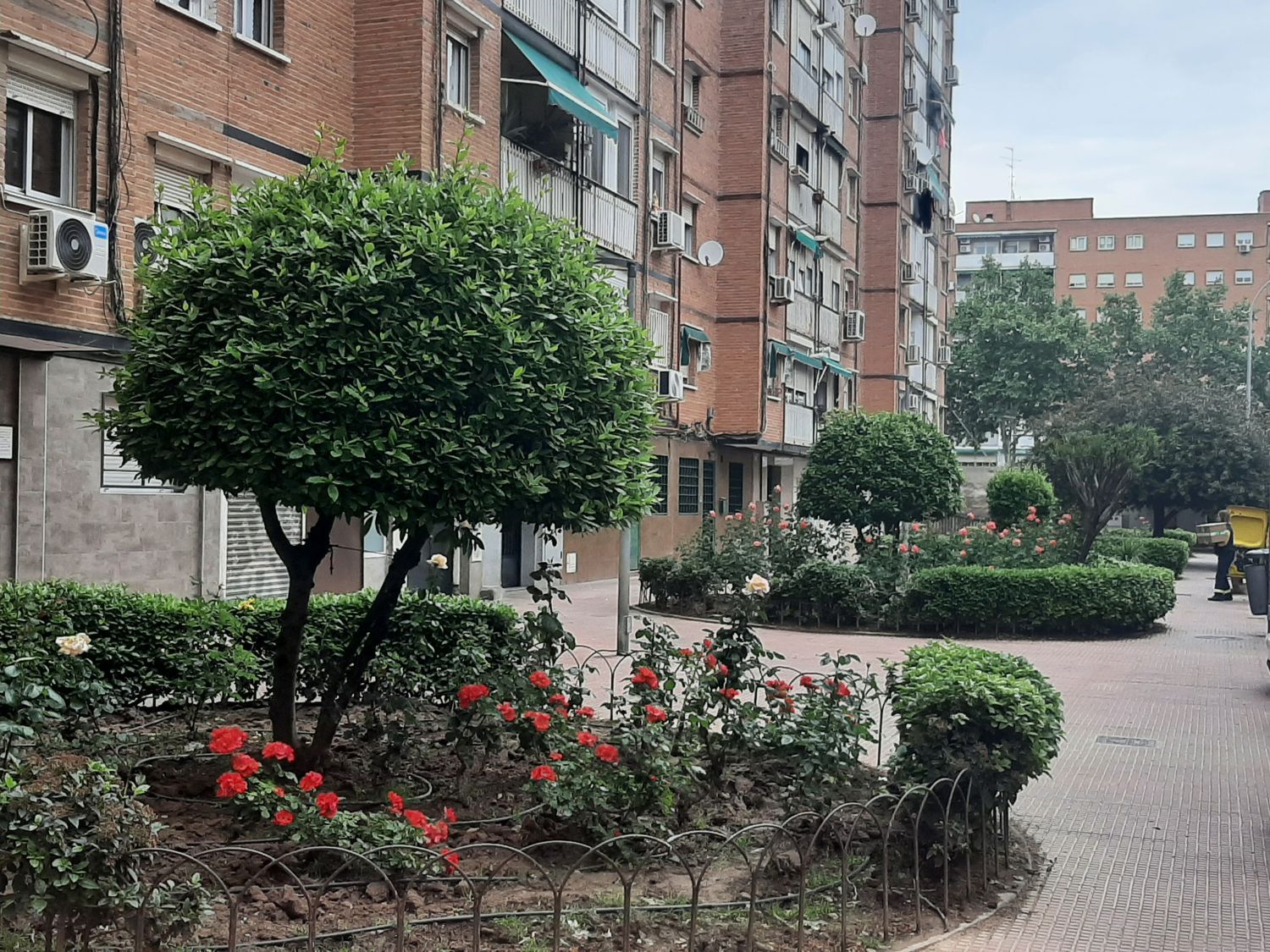 Estudio en Juan de Austria, Juan de Austria - Foto 8