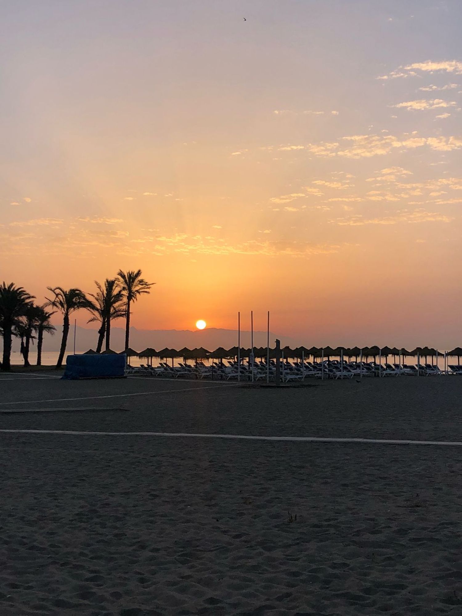 Piso en Paseo Marítimo, 69, Playamar - Benyamina - Foto 12