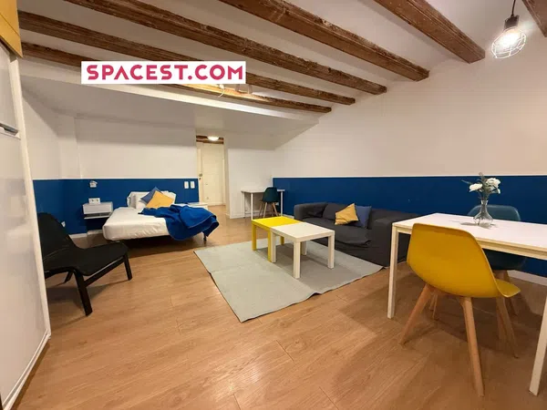 Estudio en Calle de Ferran s/n, El Gòtic - Foto 1