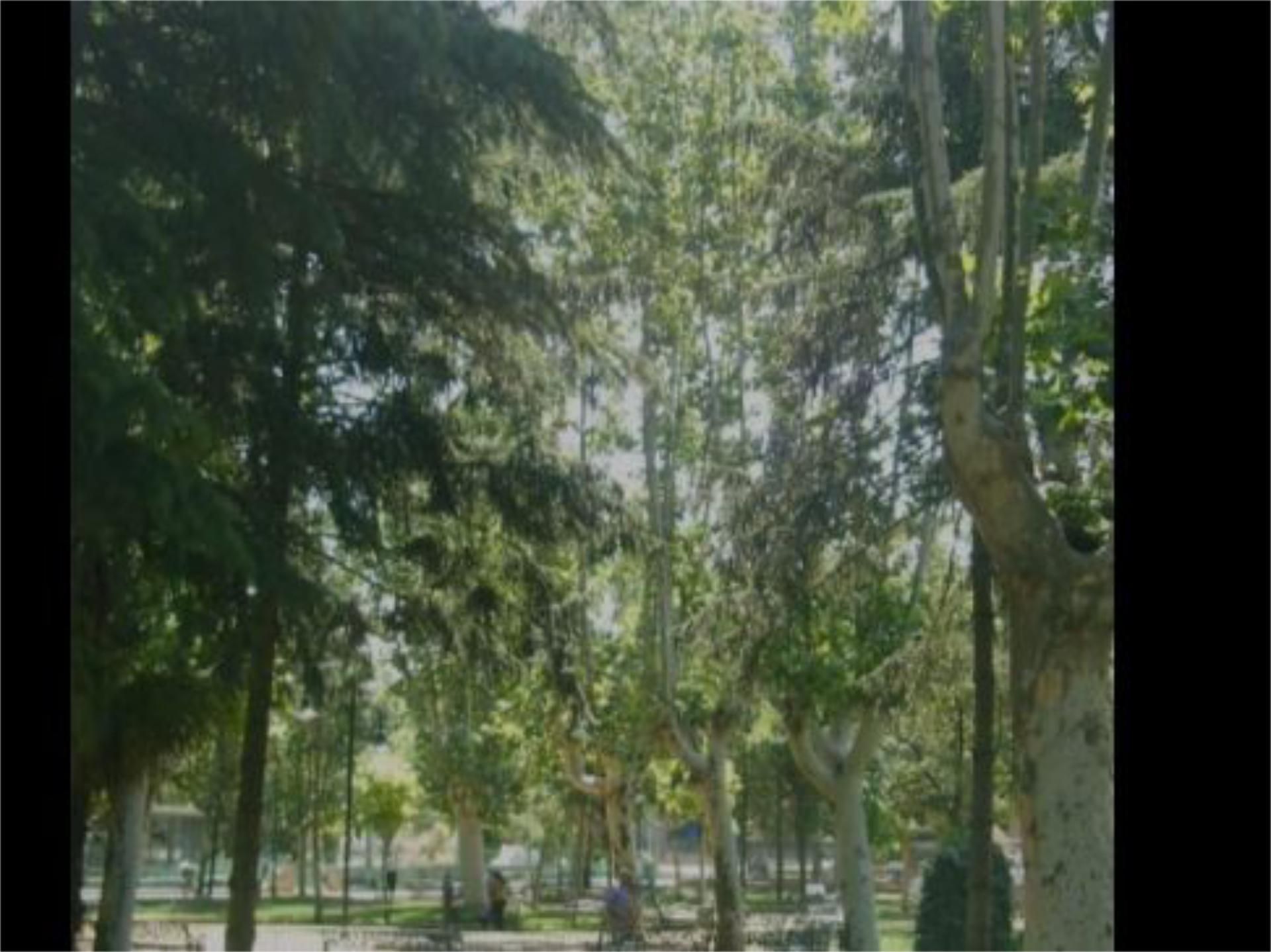 Piso en  Avenida de los Comuneros 1 - Foto 14