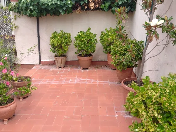 Piso en palla, 12, Centre - Foto 13