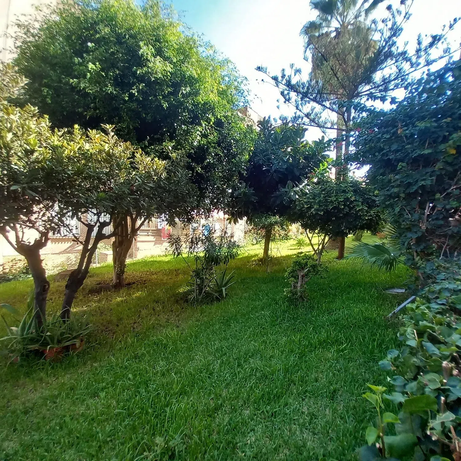 Piso en calle Maestro Chueca, 7 - Foto 1