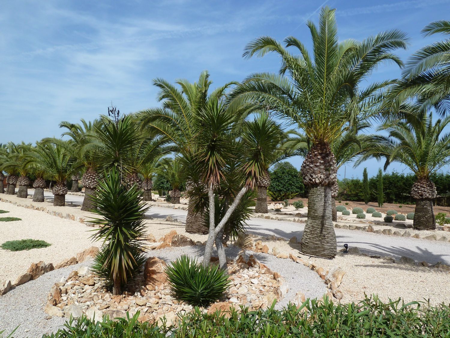 Finca rústica en Avenida de Cala Llombards, 31, Cala Llombards, Cala Llombards - Foto 19