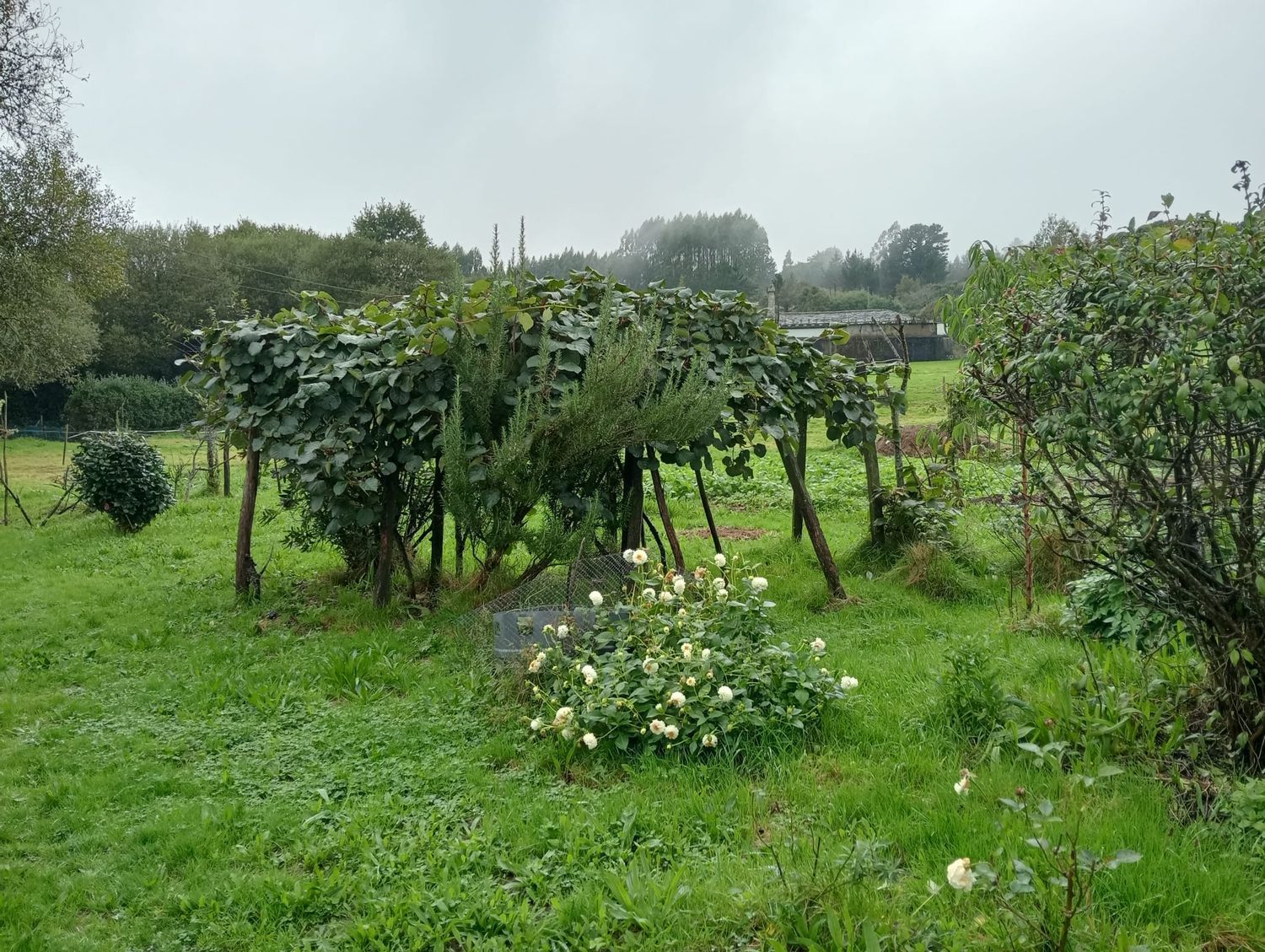 Casa rural en Lg/ Suaermida, 2 - Foto 22