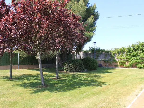 Casa o chalet independiente en Camino Viejo de Logroño, 53 - Foto 23