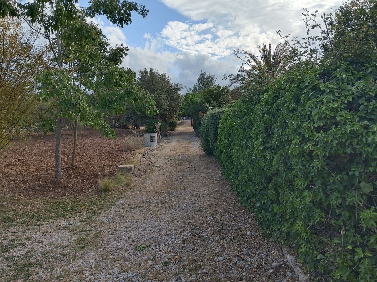 Casa o chalet independiente en Font, Ca na Rostoïa, 4 PolgonoParcela, Pollença, Pollença - Foto 8