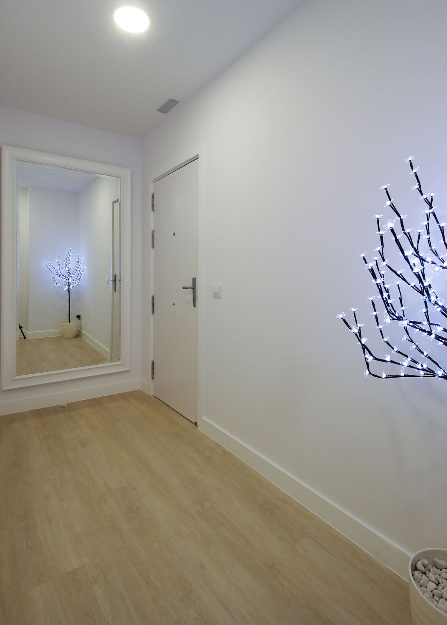 Estudio en calle de Rodríguez San Pedro, 25 - Foto 12