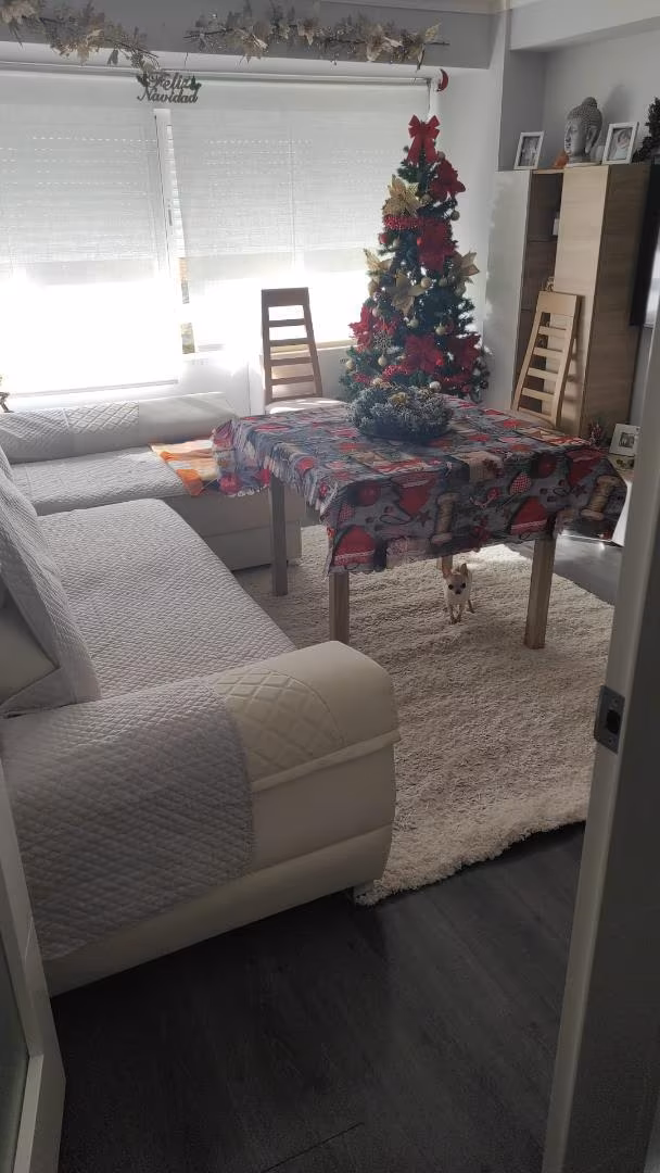 Piso en  Avenida de Carlos III 14 - Foto 8