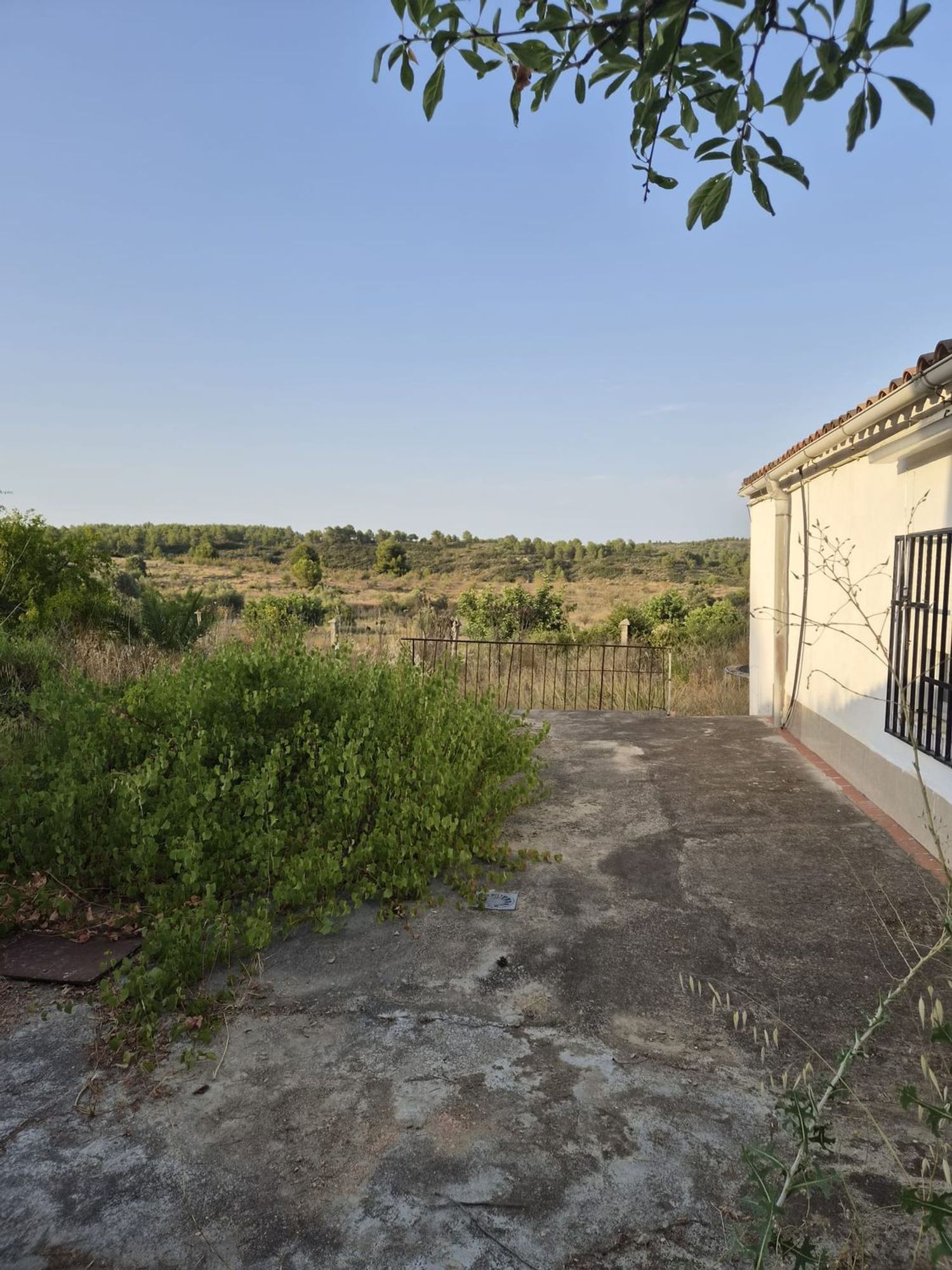 Finca rústica en Plaza Numero 3, 148, Las Pedrizas, Las Pedrizas - Foto 8