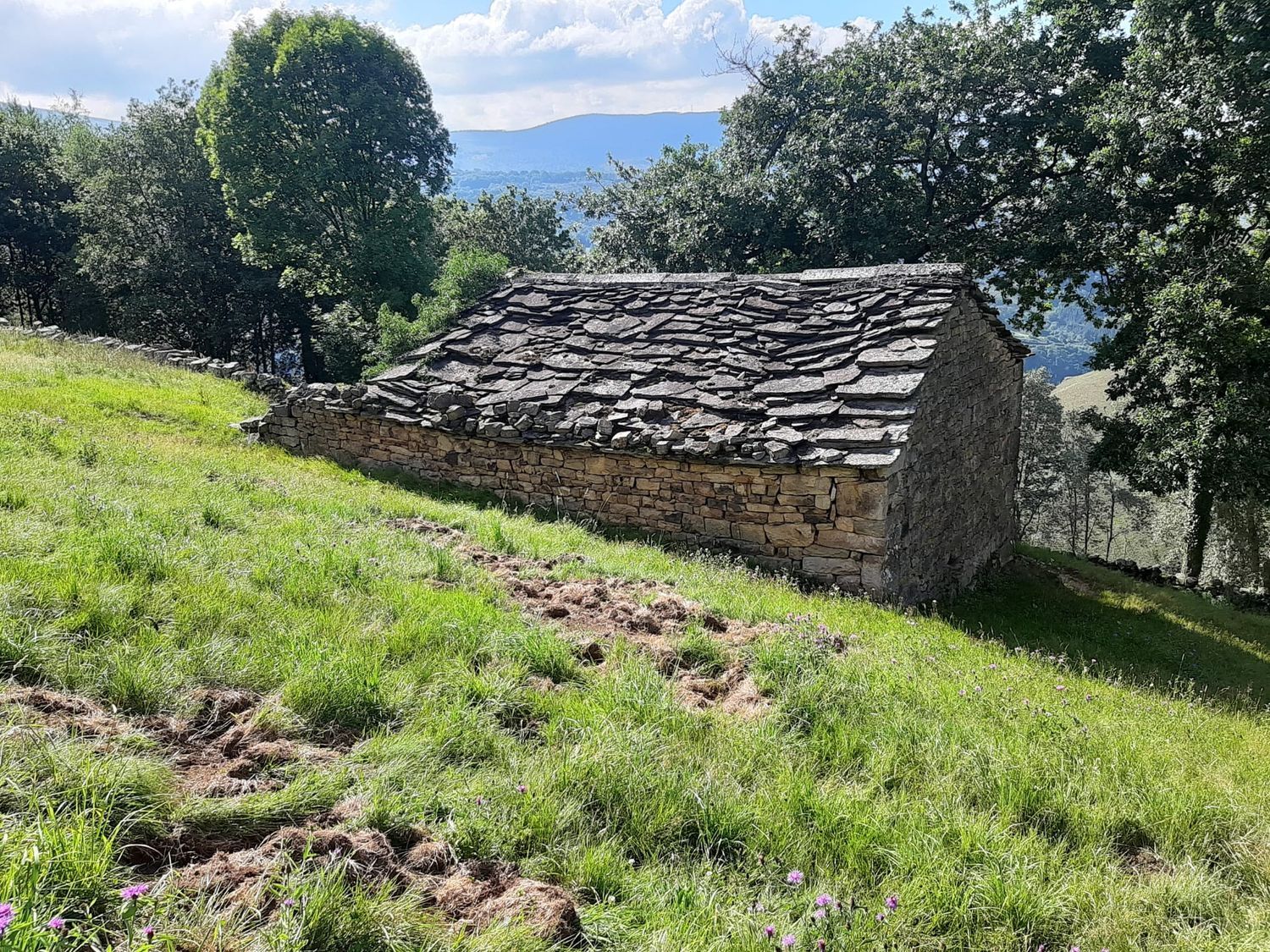 Casa rural en Pandoto s/n - Foto 7