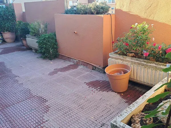 Piso en Calle Cabestany, 3, Centro - San Lorenzo, Centro - San Lorenzo - Foto 9