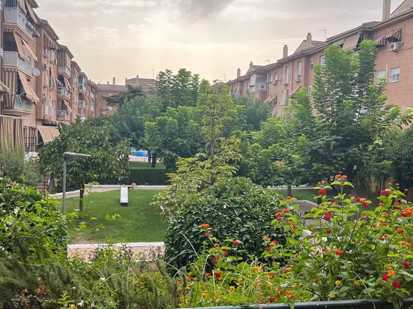 Piso en Calle del Campo, 11, Miralbaida - Parque Azahara - Foto 38