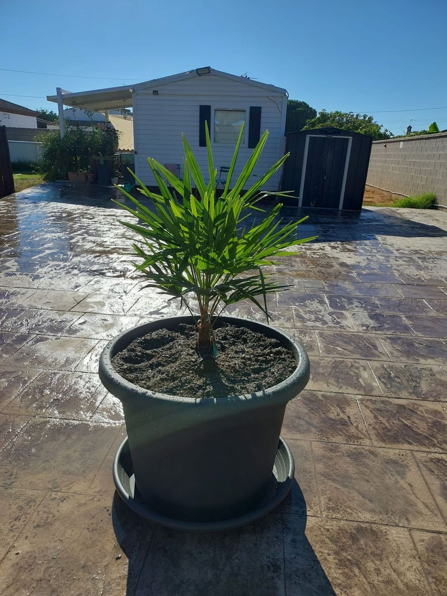 Casa independiente en camino del sotillo s/n - Foto 4