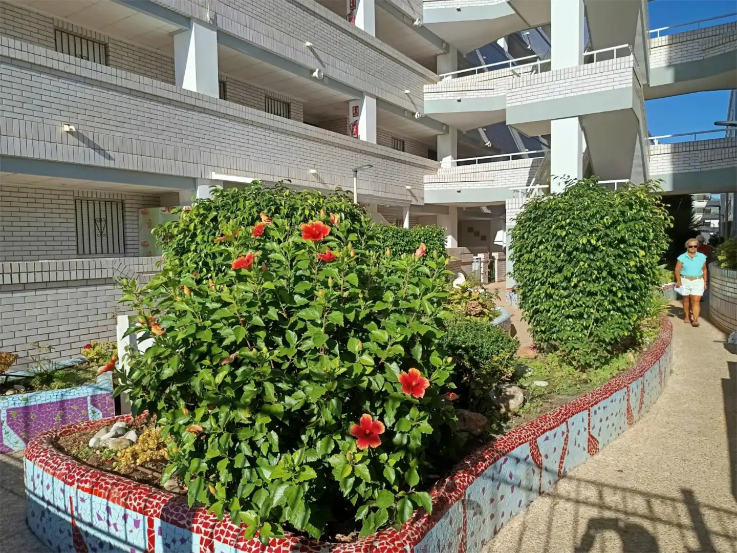Apartamento en  Avenida Central 12 - Foto 18