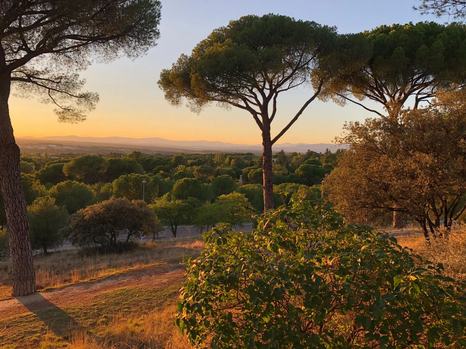 Piso en calle de Numancia, 31 - Foto 28