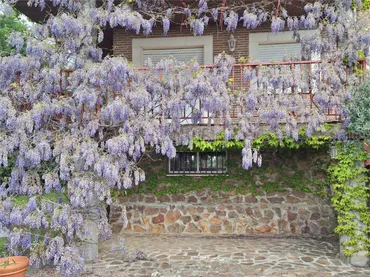 Piso en  Urbanización San Pedro de Alcántara 46 - Foto 14