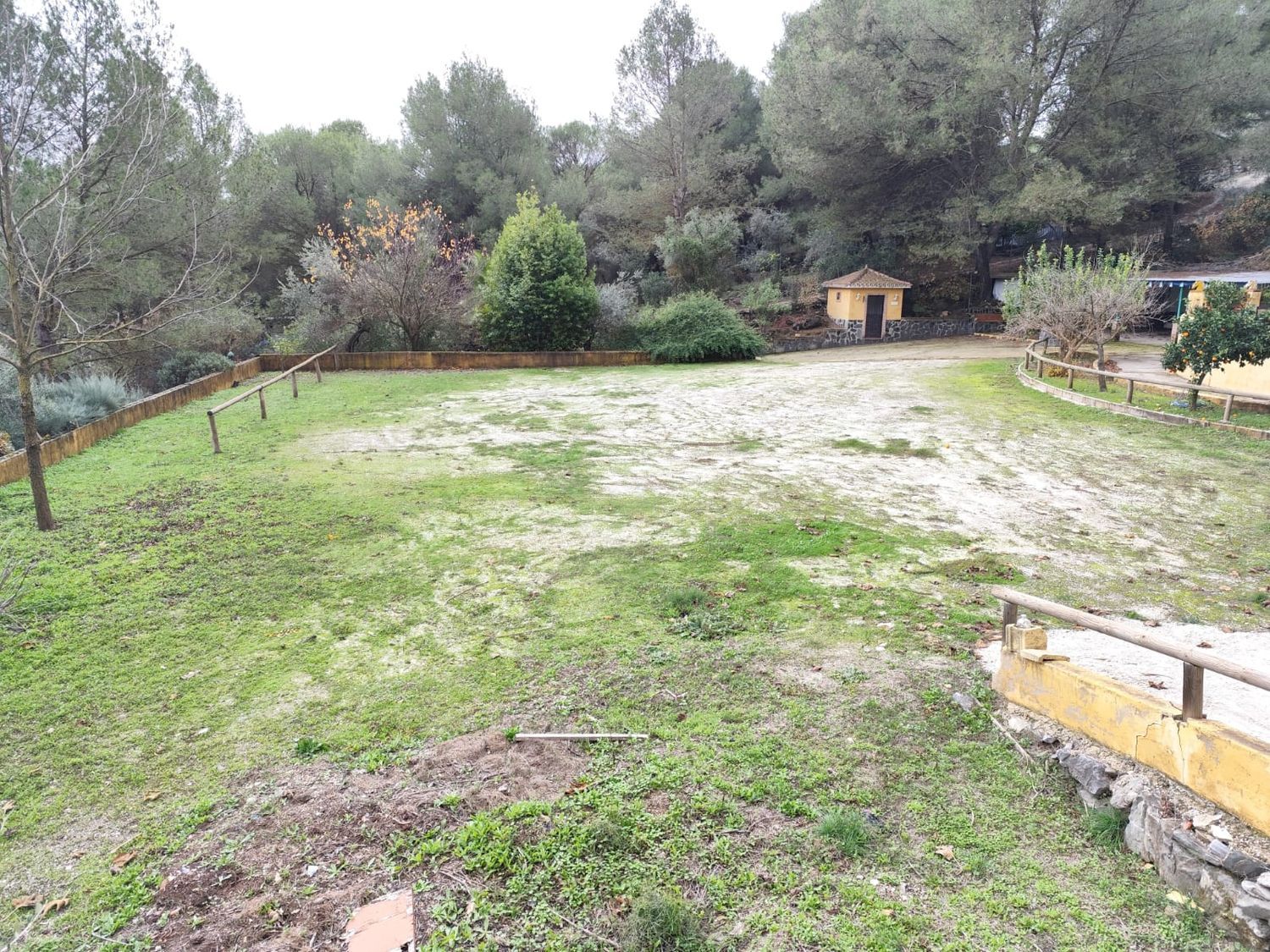 Casa o chalet independiente en venta en Llanos De Purla, 16 - Foto 6