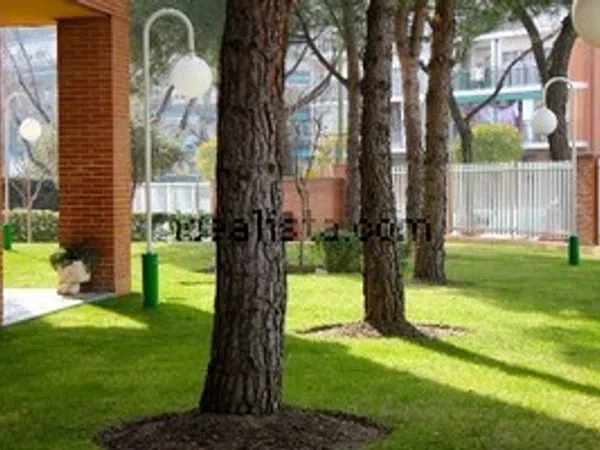 Piso en Avenida Orovilla, 69, Los Rosales - Foto 4
