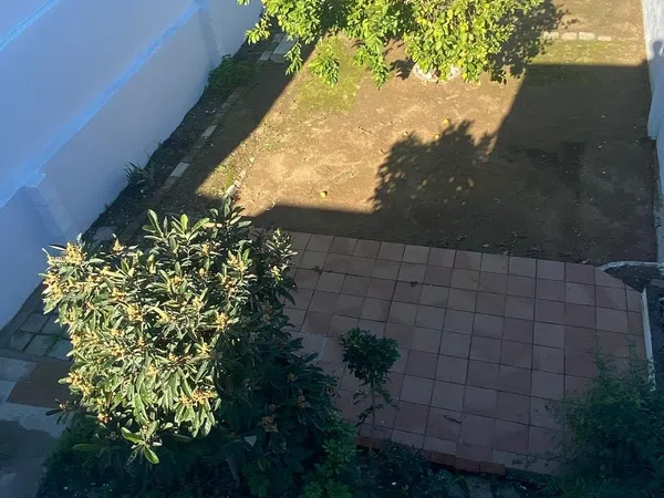 Casa o chalet independiente en Calle Concepción Soto, 128, Las Pajanosas, Las Pajanosas - Foto 14