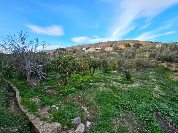 Casa rural en Llano de las Animas, 1 - Foto 24