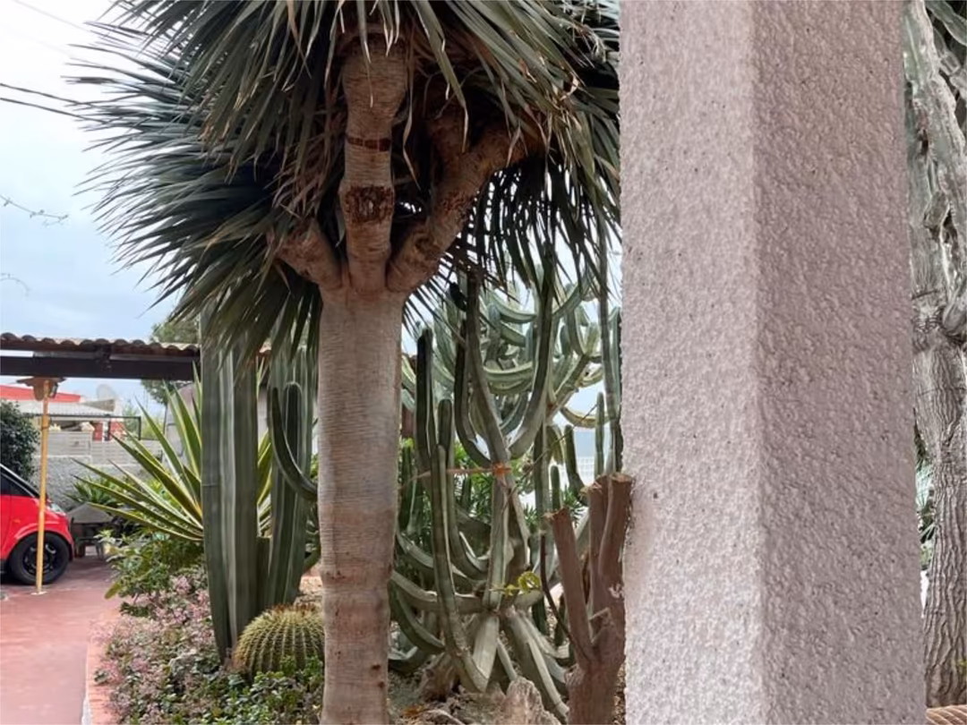 Chalet en  Camino de los Picapiedra 12 - Foto 3