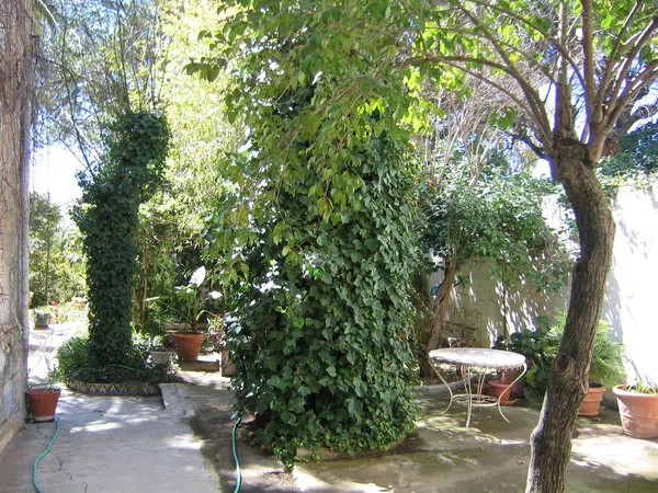 Casa de pueblo en Calle Cerrico de las Moyas, 34 - Foto 29
