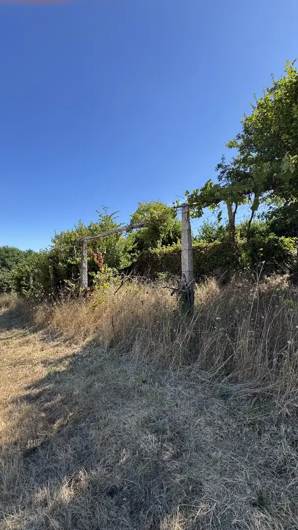 Finca rústica en  Lugar Vilasusan-Remesar 15A - Foto 12