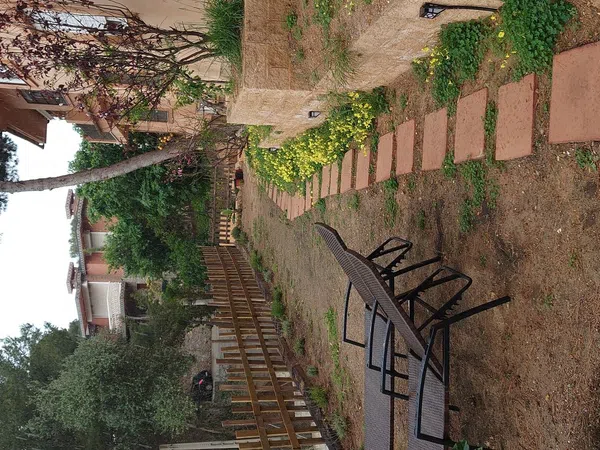 Estudio en alto del Pinar, 2 - Foto 4