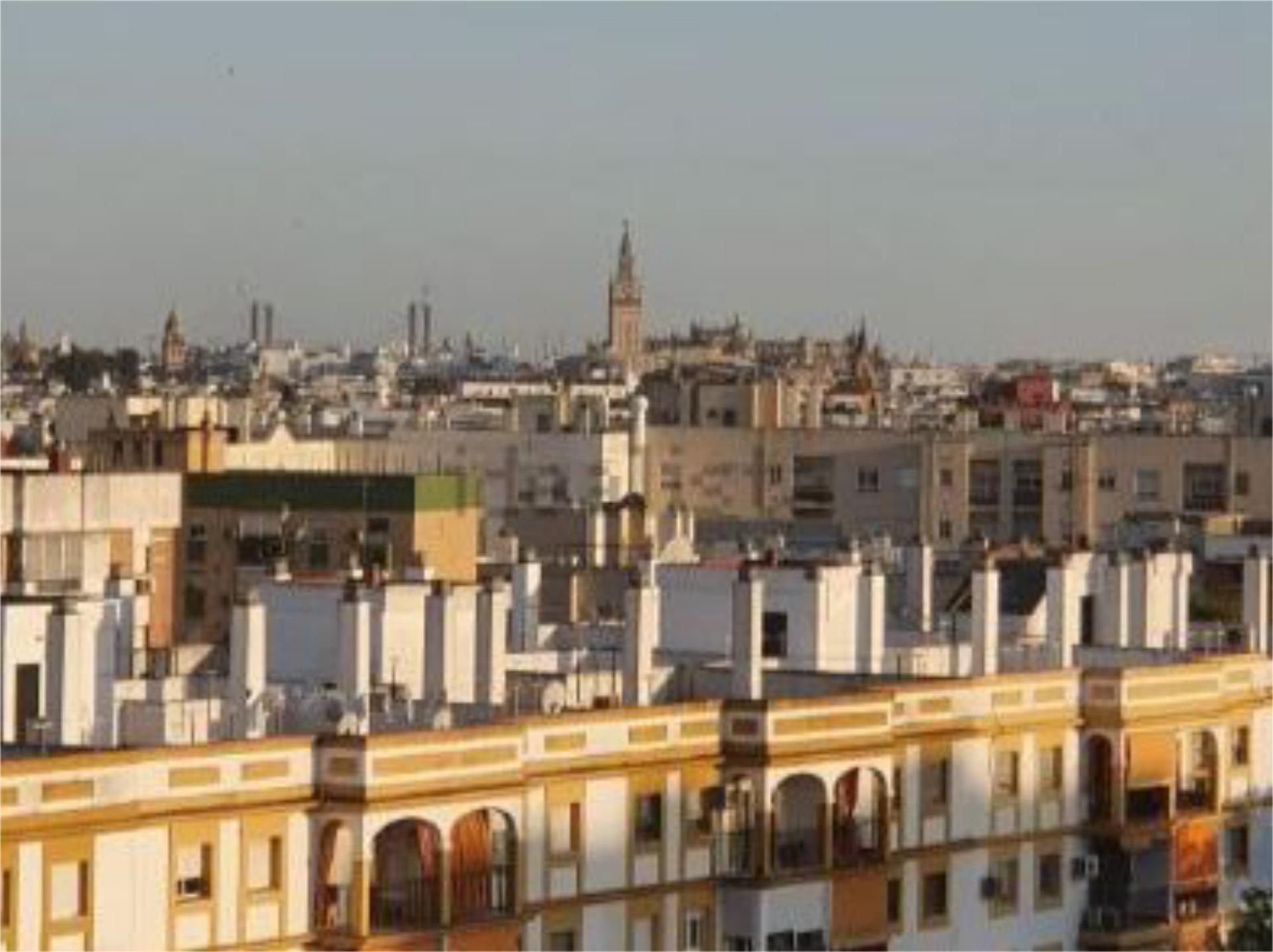 Piso en  Grupo Macarena Tres Huertas 4 - Foto 11