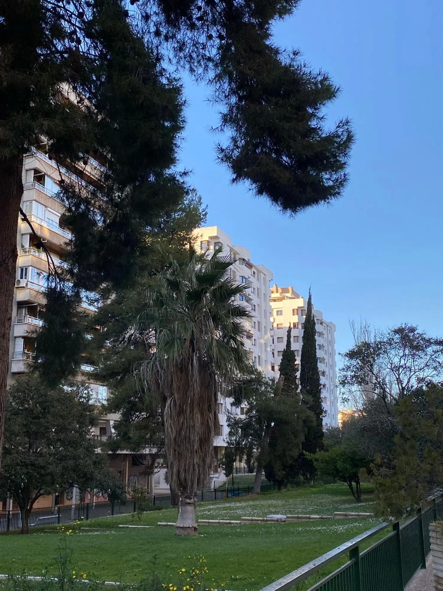Piso en Urbanización Parque Roma s/n - Foto 2