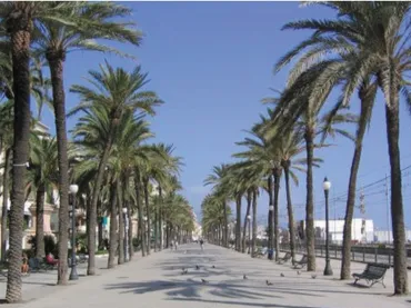 Local comercial en Badalona - Foto 9