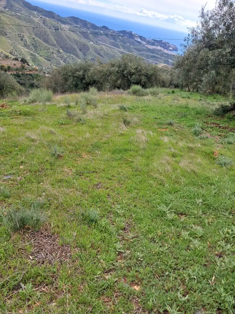 Finca rústica en  Diseminado el Cerval Pol 15 34B - Foto 26