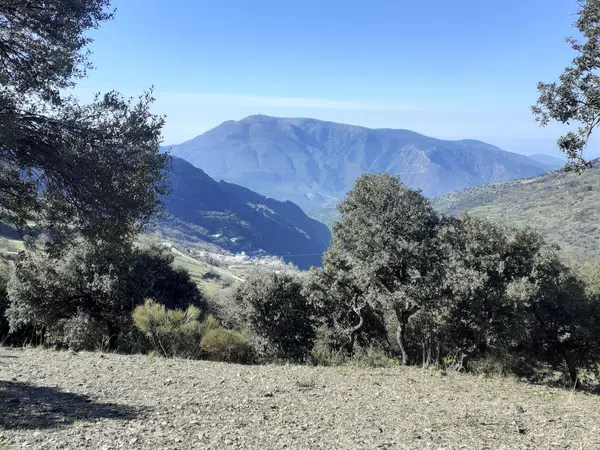 Cortijo en Cortijo en Diseminado Extrarradio, 35 - Foto 8