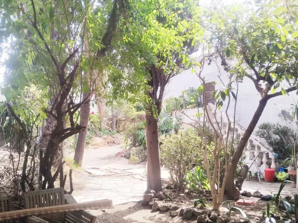 Finca rústica en Carretera Enlace el Ramal, 18 L, Centro, Centro - Foto 2