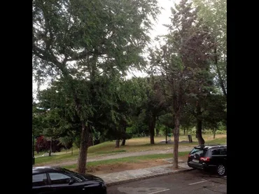 Apartamento en La Moraleja - Foto 5