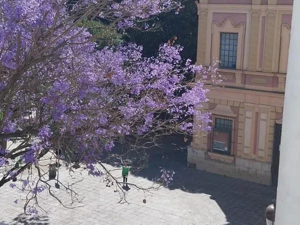 Ático en calle Cepeda, 2