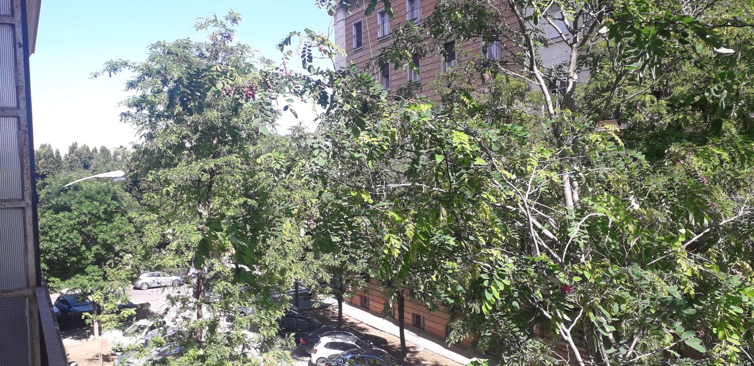 Piso en calle Infante Carlos de Borbón, 16 - Foto 28