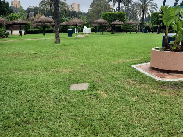 Piso en Avenida del Parque, 3 - Foto 3