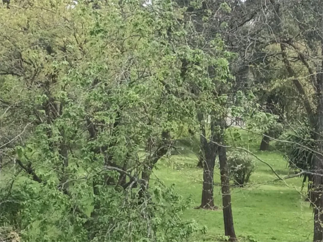 Piso en  Calle Pintor Murillo 3 - Foto 4