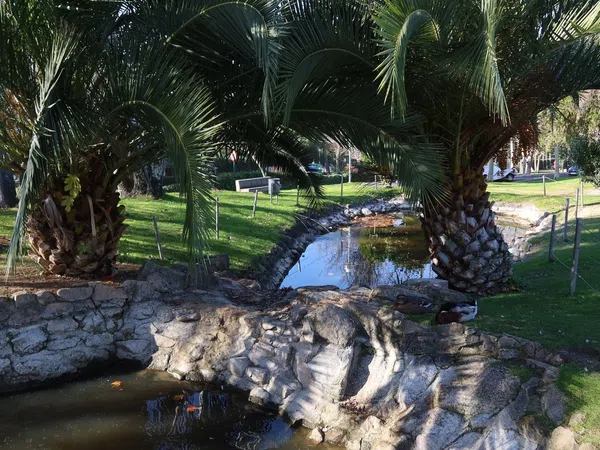 Ático en calle de Cuesta Blanca, 64