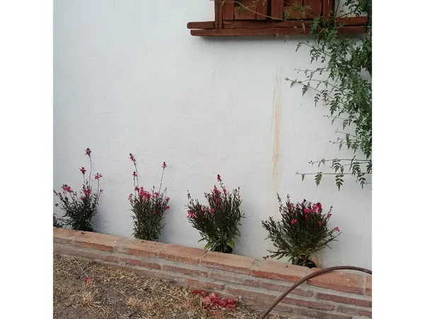 Casa rural en Camino de las Lomas de Villanueva s/n - Foto 38